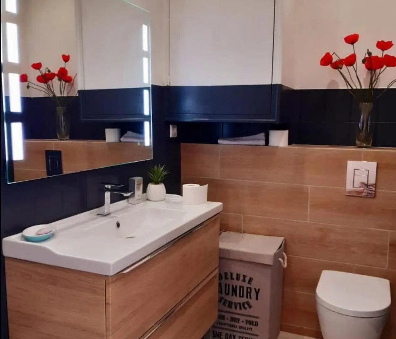 Magnifique 2 Pieces Centre Parking Jardin Apartment Cannes 0*,