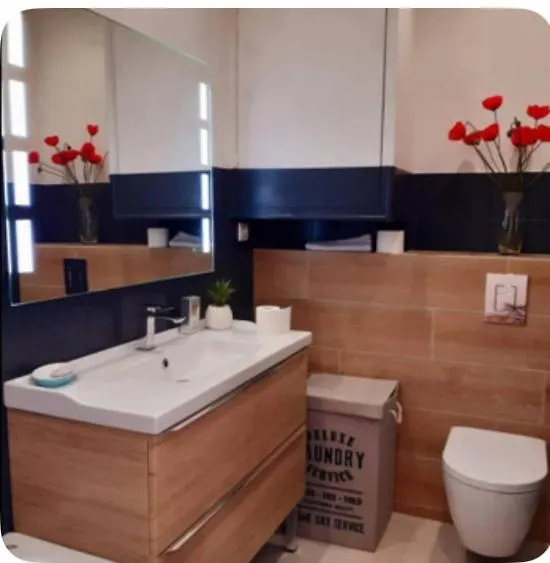 Magnifique 2 Pieces Centre Parking Jardin Apartment
