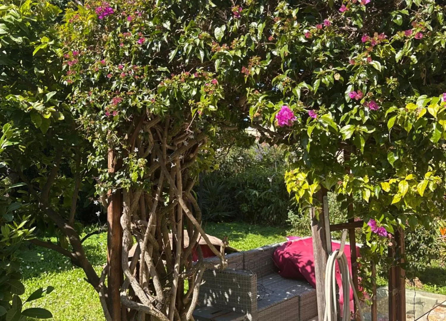 Apartment Magnifique 2 Pieces Centre Parking Jardin France